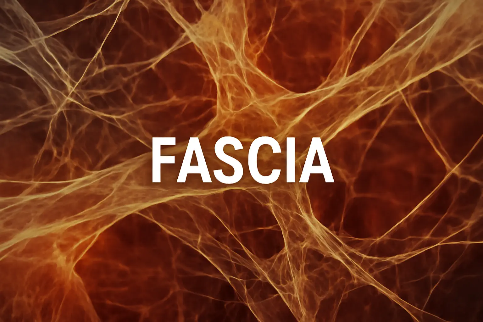 Fascia The Hidden Connection Within Our Bodies